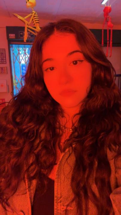 Maria Rebeca Castro Salas