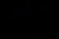 DanielaH DonneInDigitale