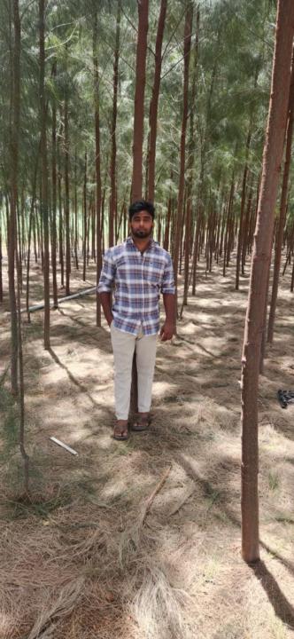 Naveen P