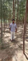 Naveen P