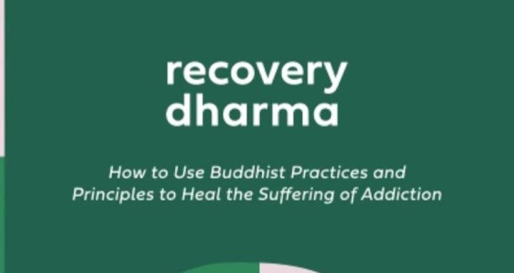 MSR Recovery Dharma 