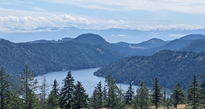 The Wayless {Weightless} Way™