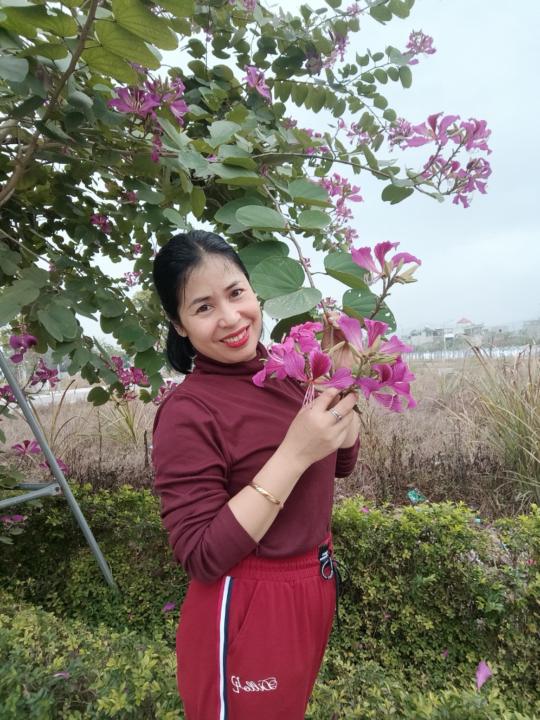 Hoang Thuy