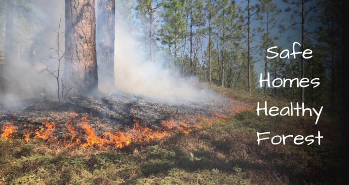 Safe Homes | Healthy Forest