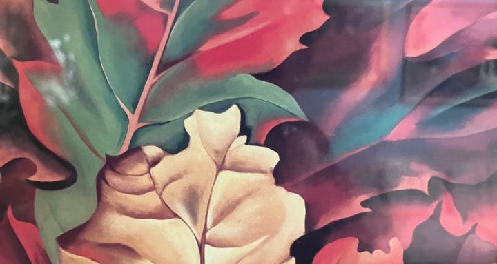 Legacy with Sandrina