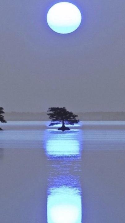 Rob Banks