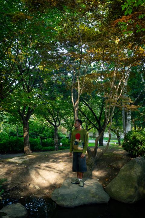 Carousel or post separately ?