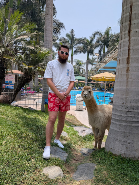 October 2025 Social Circle Game Report II: 13,000 Instagram Followers