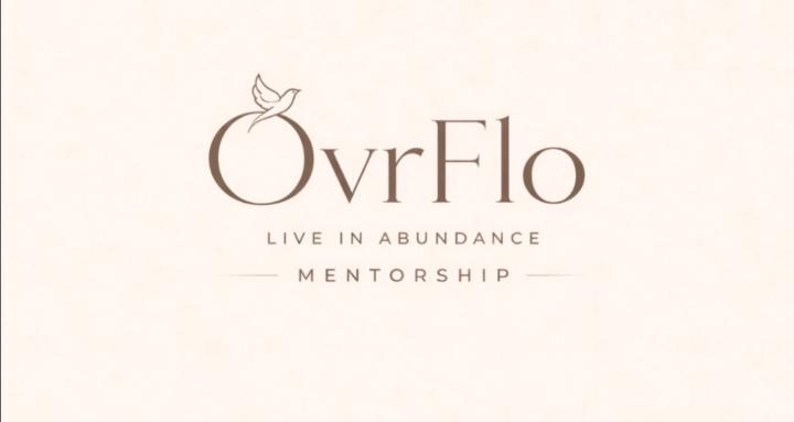 OvrFlo Mentorship