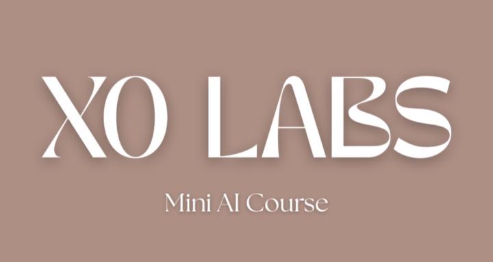XO LABS