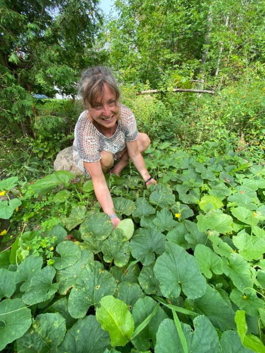 Birgitta Samavarchian