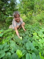 Birgitta Samavarchian