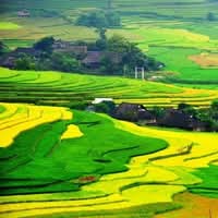 Phạm Hữu Nhân