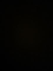 William Chenail Sheehan