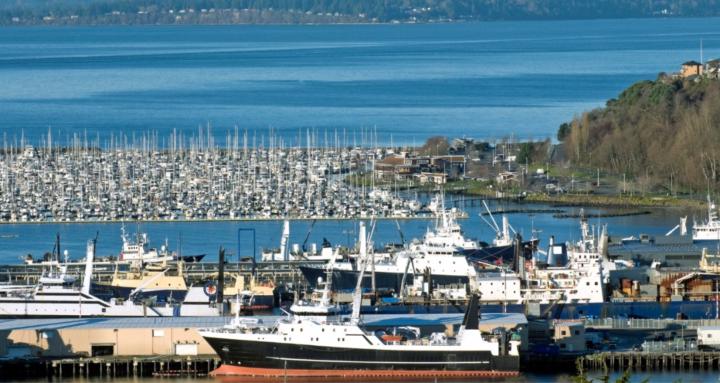 Maritime Business Alliance