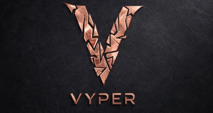 Vyper Guitar Academy