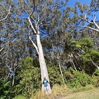 Dominique Reichenberg