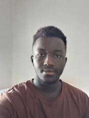 Lamine Diene