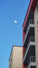 Harold González Castro