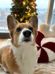 Amaliya Amstislavskaya