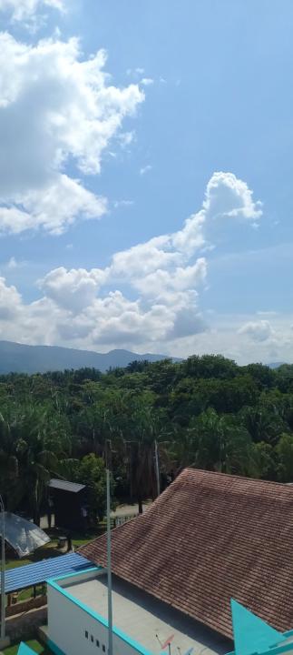 Andrey Felipe Monroy Ortiz