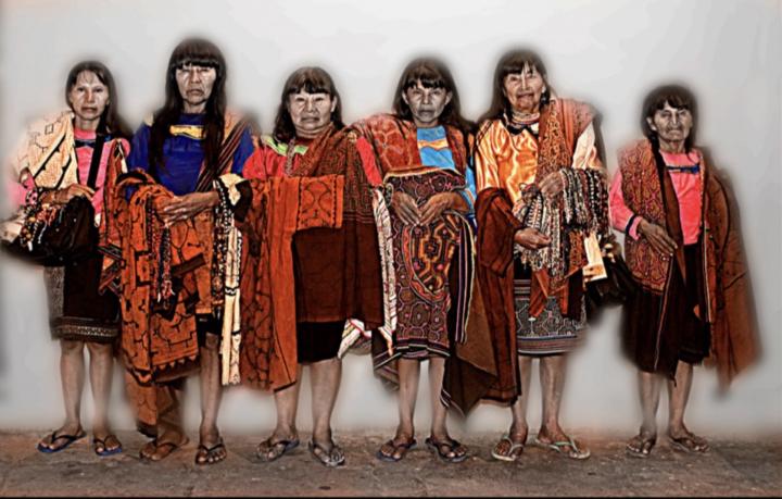 The Peruvian Amazon