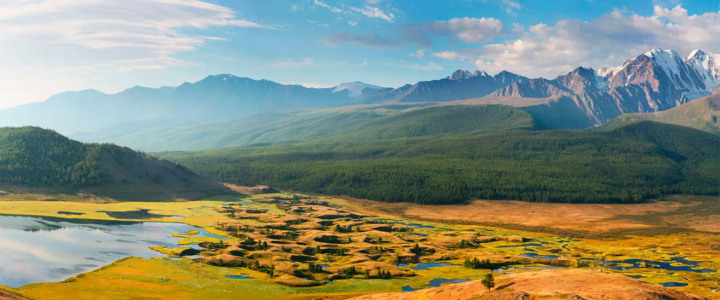 A deep tradition of natural medicine.