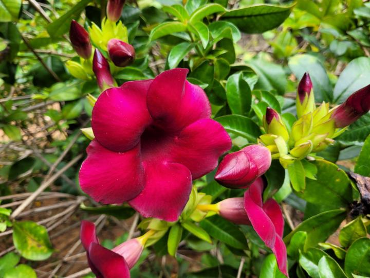 What’s one small, significant moment life offered you recently? 🌿