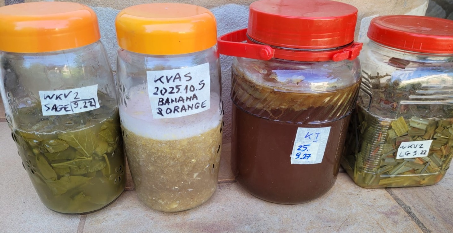 The Art of Fermentation - Probiotics