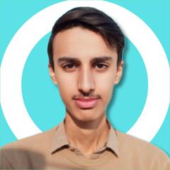 Malik Liaqat