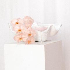 Christina Welsh