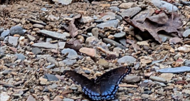 Crafting Through Life