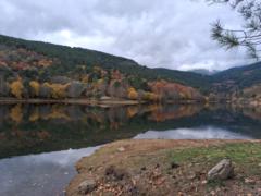 Sonsoles Burgos