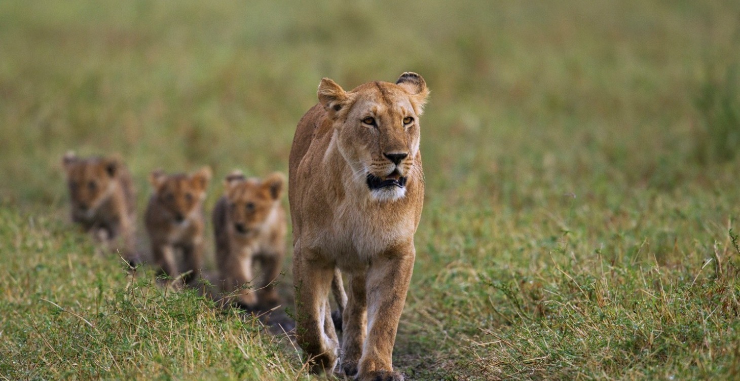 What is Leadership?
