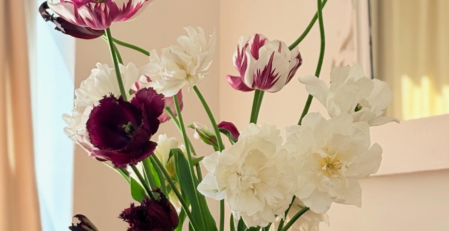 Sewing Seeds 🌱: A Beginners Guide
