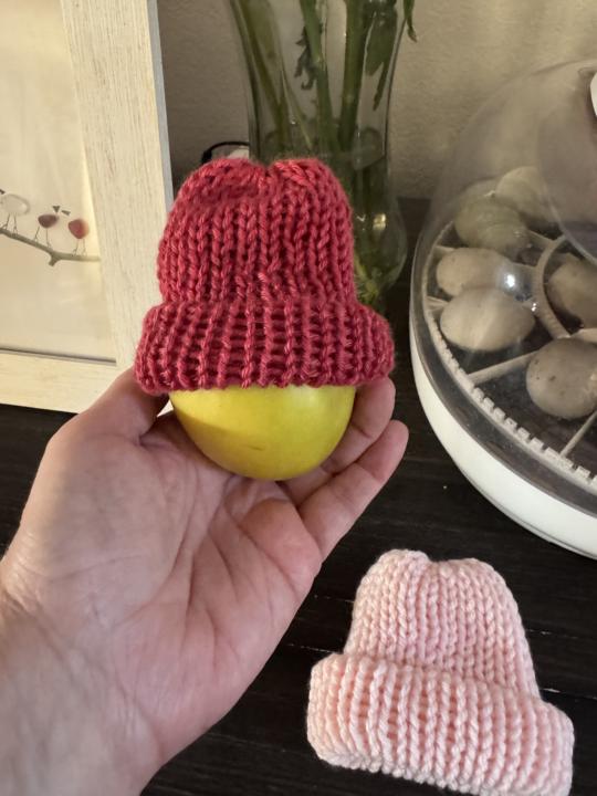 Baby Beanies for the NICU and micro preemiesS