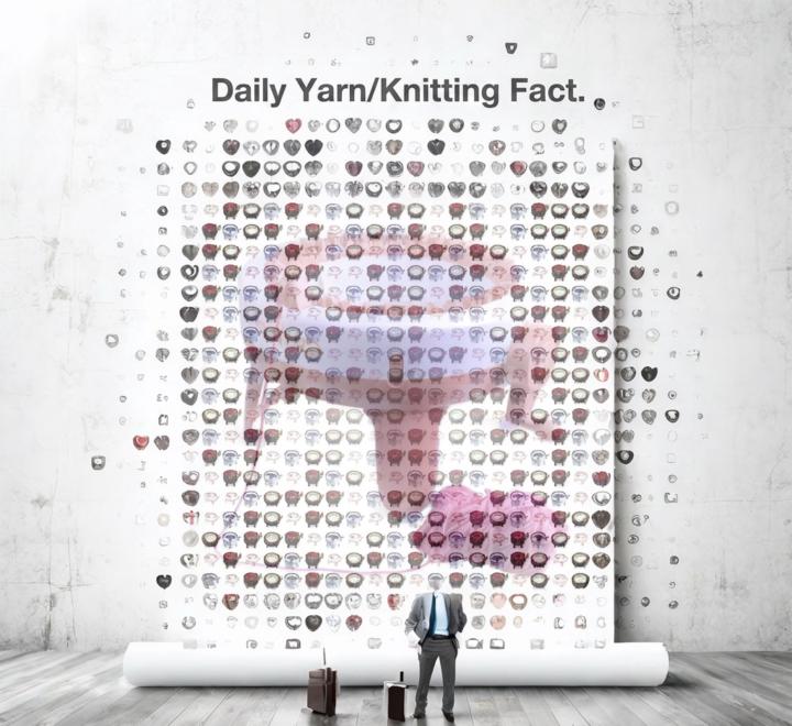 Daily Yarn/Knitting Fact