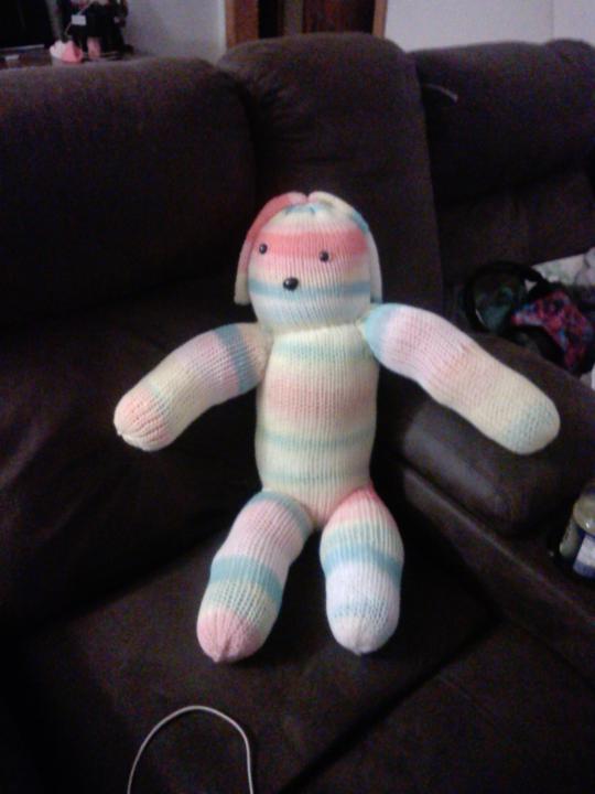 My first doggie finished