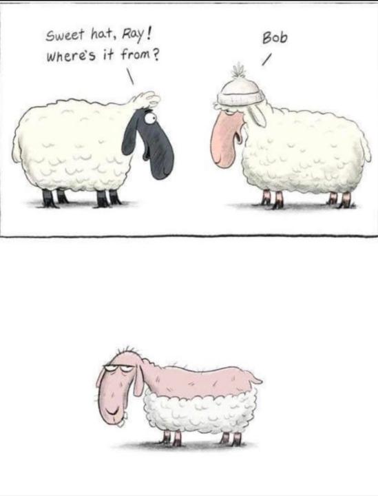 Ray’s new hat