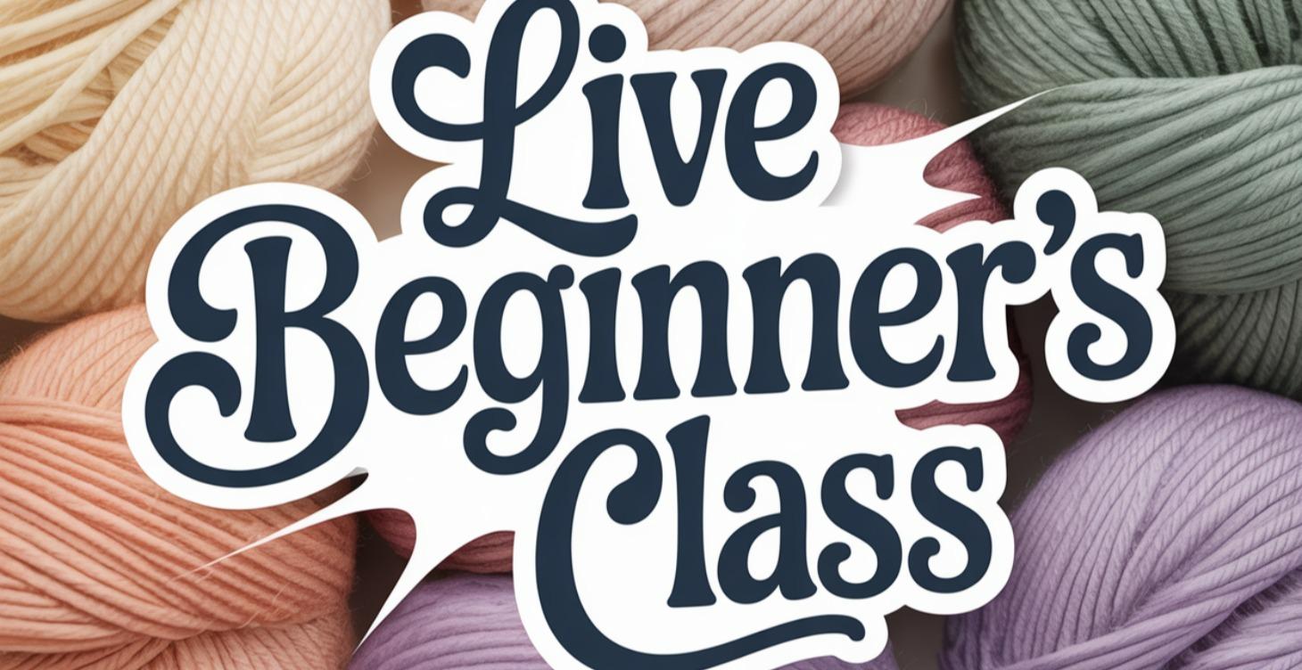 Live Beginner's Class With Kim