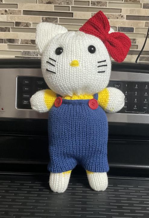 My newest knit 