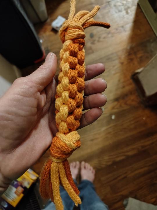 Dog pull