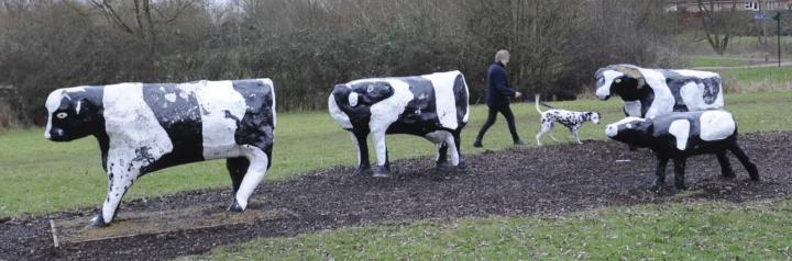 Thinking of designing concrete cows….