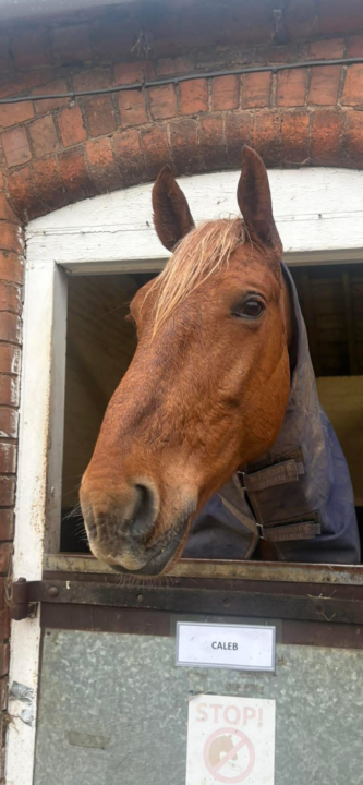 I know this isn’t knitting… but…