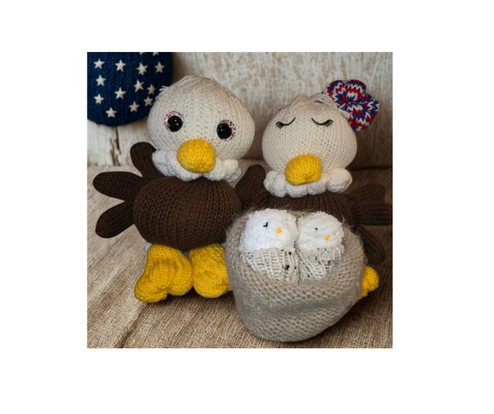 American Bald Eagle Family 