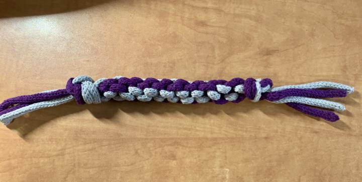 First project Icord 