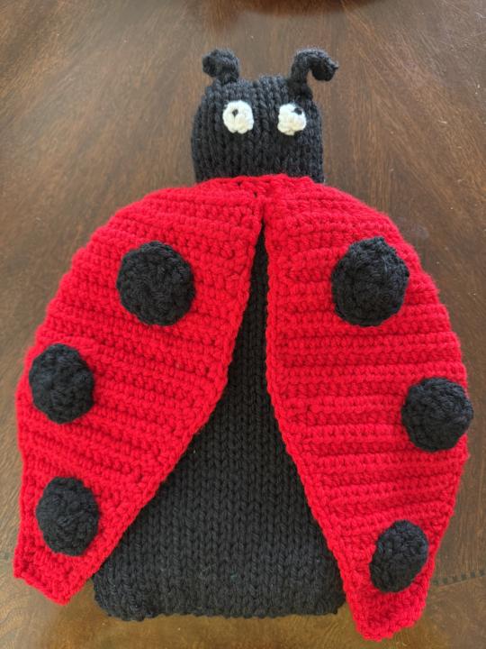 Ladybug pajama bag