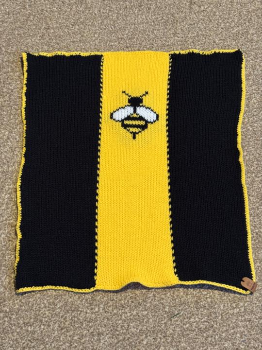 Bee baby sleep pram buggy set 