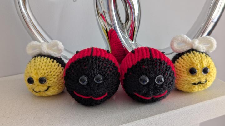 Lucy the Ladybird 🐞