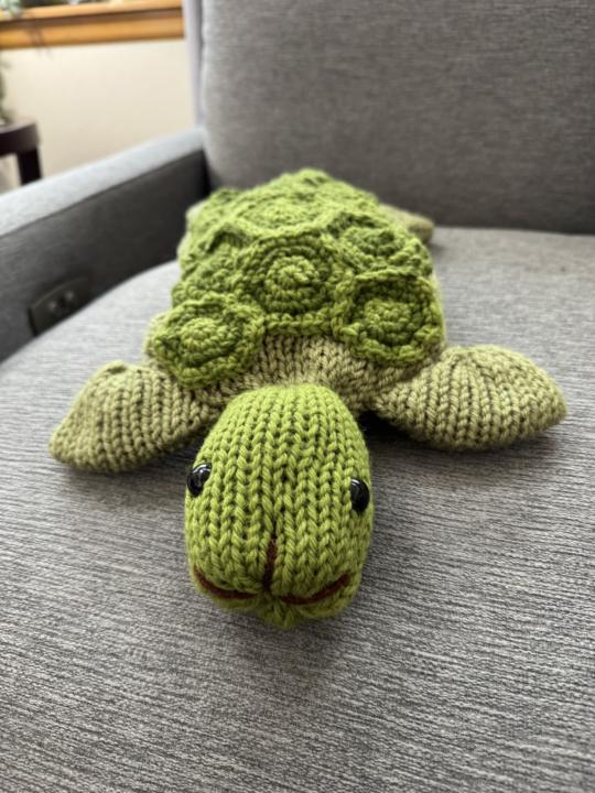 Turtle pajama bag